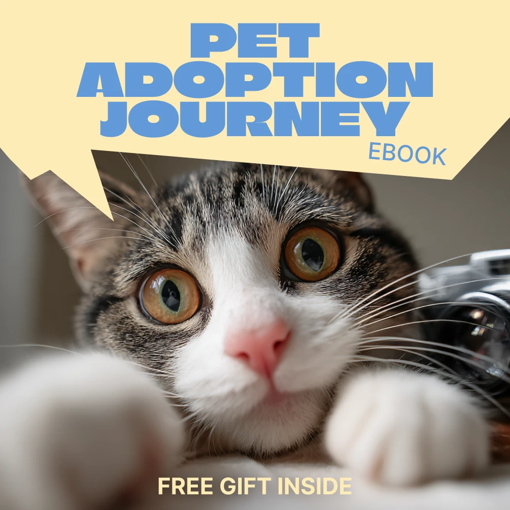 What “Forever Home” Means for Adopted Pets